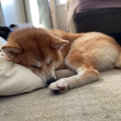 akinono3's profile picture. 読書好きの主婦です。子ども3人。長男ASD。好きな作家は梨木香歩、角田光代、上橋菜穂子、小川一水など。勉強も兼ねて洋書も読んでいます。無言フォロー失礼します。