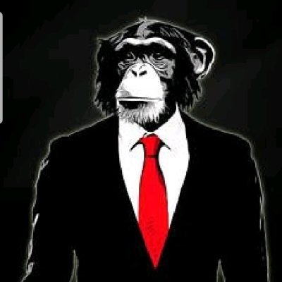 ProcyonServiceG's profile picture. 