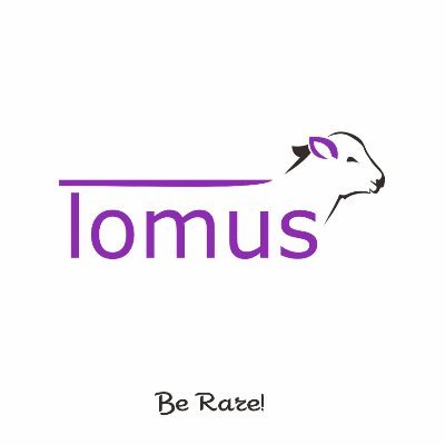 tomusfootwear Profile Picture