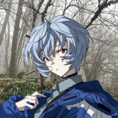 daniel_zarickyj's profile picture. Nić
