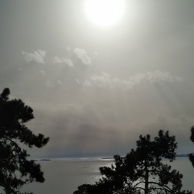 UnderCo62809079's profile picture. Υπό κατασκευή μέχρι την καταστροφή