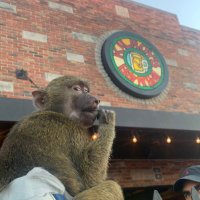Kilroy's on Kirkwood (@kilroyskok) 's Twitter Profile Photo Kilroy's on Kirkwood (@kilroyskok) 's Twitter Profile Photo