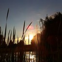 Cameron Riley - @campeterriley - Twitter