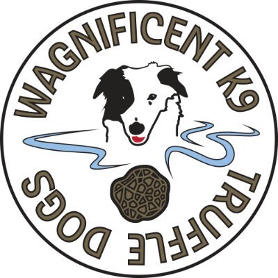Wagnificent K9 Truffle Dogs | Shifting the way people relate to and partner with animals | @WhatTheDogNose Podcast | Freelance Truffle Hunter & Trainer