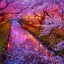 Joseph Mier - @JosephMier13 - Twitter