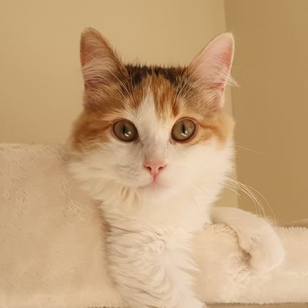 aliran92's profile picture.