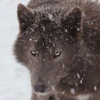 jesse g 🤎🫶 (@jesseg133) 's Twitter Profile