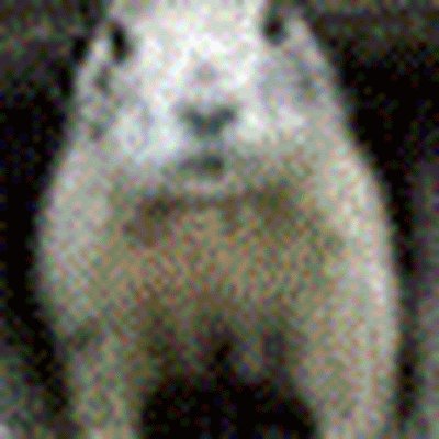 JackDozerSlappy's profile picture. No porn. No crypto. No bots.