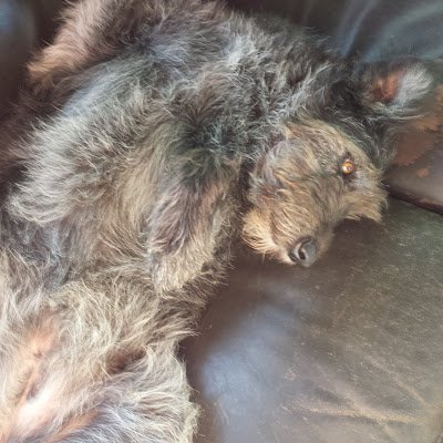 Rob96233343's profile picture. 