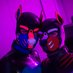Redsame & Sharky AD (@redsamesharkyad) Twitter profile photo Redsame & Sharky AD (@redsamesharkyad) Twitter profile photo