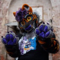 Nyter (@nyterflufftiger) 's Twitter Profile