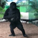 steven pewitt - @stayhumble012 - Twitter