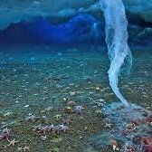 rrosygilbert's profile picture. 