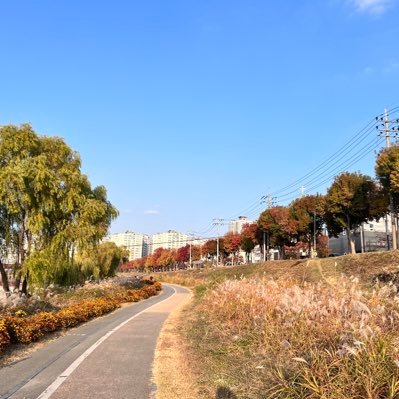 suzizoa1's profile picture. 일상, 맛집