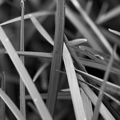 derpyfordays's profile picture. 