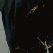 beeik_46's profile picture. 