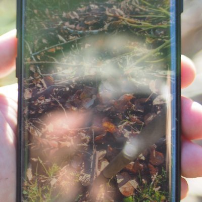 cyborg artist; elf-fir bolg druid.
making video art & curations.
#Music🎧
#Art🎨
#Meditation🧘
#Permaculture🌿
#Gardening🌱
#MentalHealth💜
#BasicIncome💸
