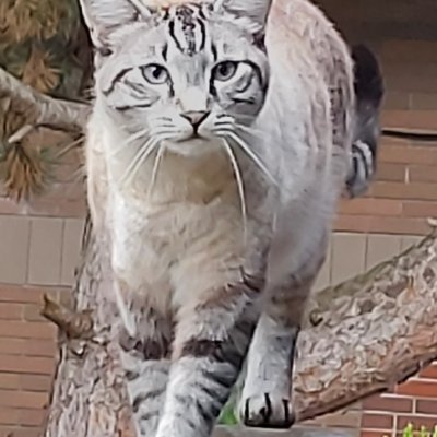 Johnm55432248's profile picture. British/ Canadian,Loyal to the Countries and to all  of the allied countries. , Family man,husband and father.Christian, stand for the little man.Retired cop👮