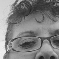 Dawn Elmer (@observing45) 's Twitter Profile
