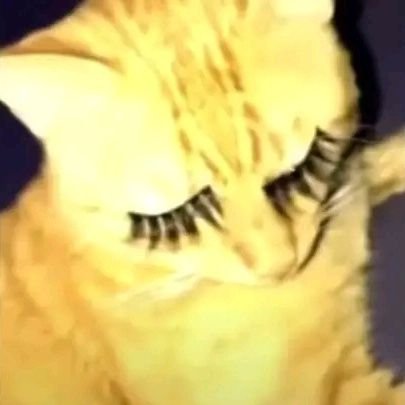 avocahoe4life's profile picture. J