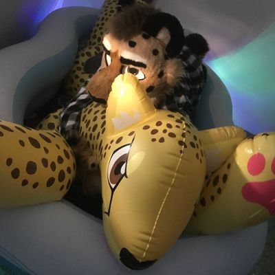 Cheetah loving inflatable pool toys :3

Main profile @GepardSeppl