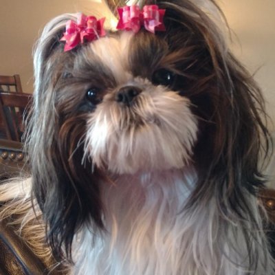 kb79070's profile picture. ANTI GREEN PARTY