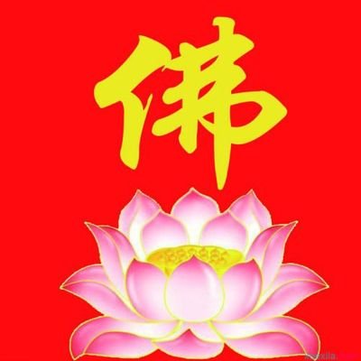 miojn6's profile picture. 突然来的福报要能承受。能承受了福报就能突然收到福报。修为自己。阿弥陀佛。