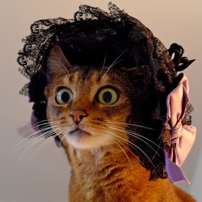 LiteralNekoMaid Profile Picture