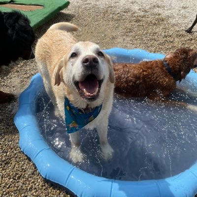 Mommypajami's profile picture. 