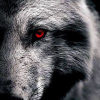 الاسطوره (@mrwnmtn1) Twitter profile photo