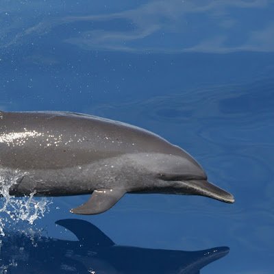 Davinxi_me's profile picture. OF banana fevedora | Da Nang BaNa Hills @amxf