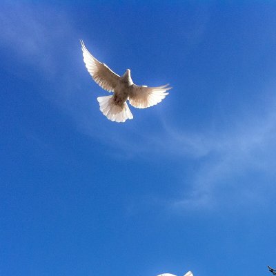 Diilaaa18's profile picture. 