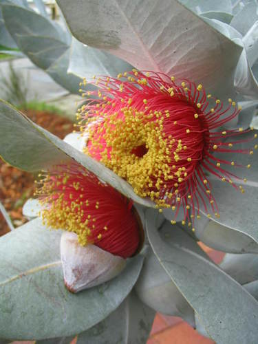 Jacquiconnected's profile picture. Education, research in action = try, apply, reflect🔄Learning by doing. All opinions, comments are my own, not related to any work or contractual contexts.