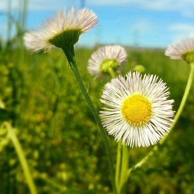 T_BunchaNumbers's profile picture. Science. Politics. Photography...
and anything laugh-worthy.