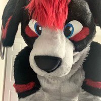 FlopDog ๐ถโค๏ธ๐ถ ๐ FWA (@apo11opup) 's Twitter Profile