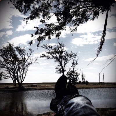 Camarillo747's profile picture. 