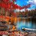 Murali CA (@muralica03) Twitter profile photo Murali CA (@muralica03) Twitter profile photo