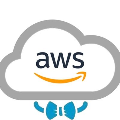 devops engineer for hire. there are a lot of reasons not to use AWS, but it'll probably be faster, cheaper, and more reliable if you do.