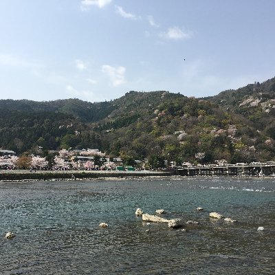 kamiwusuoda11's profile picture. go fuck your self twitter