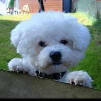 Scotty (@gaydog221170) 's Twitter Profile Photo Scotty (@gaydog221170) 's Twitter Profile Photo