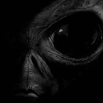 andt__pj's profile picture. That's right...