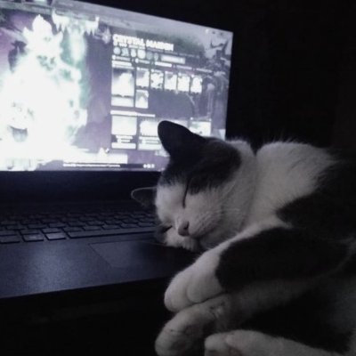 🤍basil🤍さんのプロフィール画像