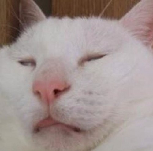 Minhanim's profile picture. UI Designer, HTML, CSS,Web Standards, Web Accessibility, User Experience