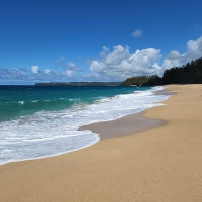 Susako70's profile picture. 