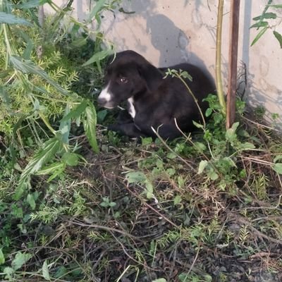 Reporter2Edu's profile picture. “The aim of education is the knowledge, not of facts, but of values.” —William S. Burroughs
Knowledge of people, places and resources is necessary; knowing how