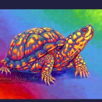 M!a🐢 (@aktsms) 's Twitter Profile