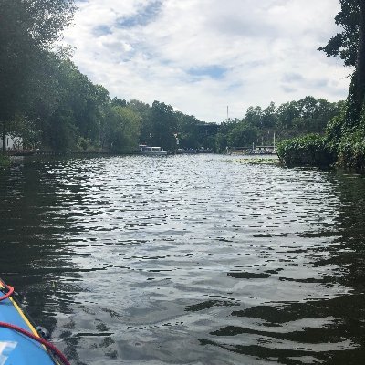 Wichtel_BER's profile picture. 