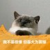 Cory (@coryzmy) Twitter profile photo Cory (@coryzmy) Twitter profile photo