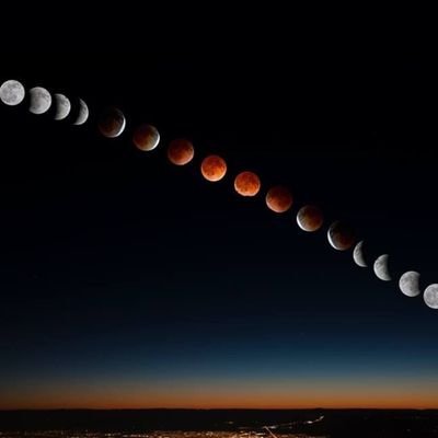 mastapizzle's profile picture. 