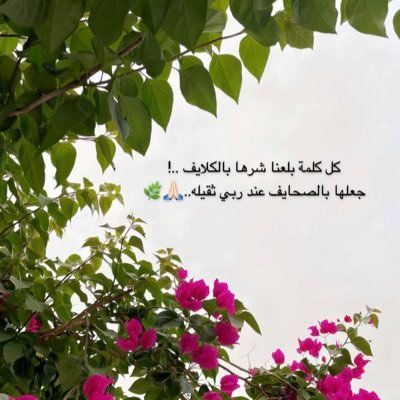 fflrby9's profile picture. مُمتنة بوجود كل شيئ حلو حولي 🕊